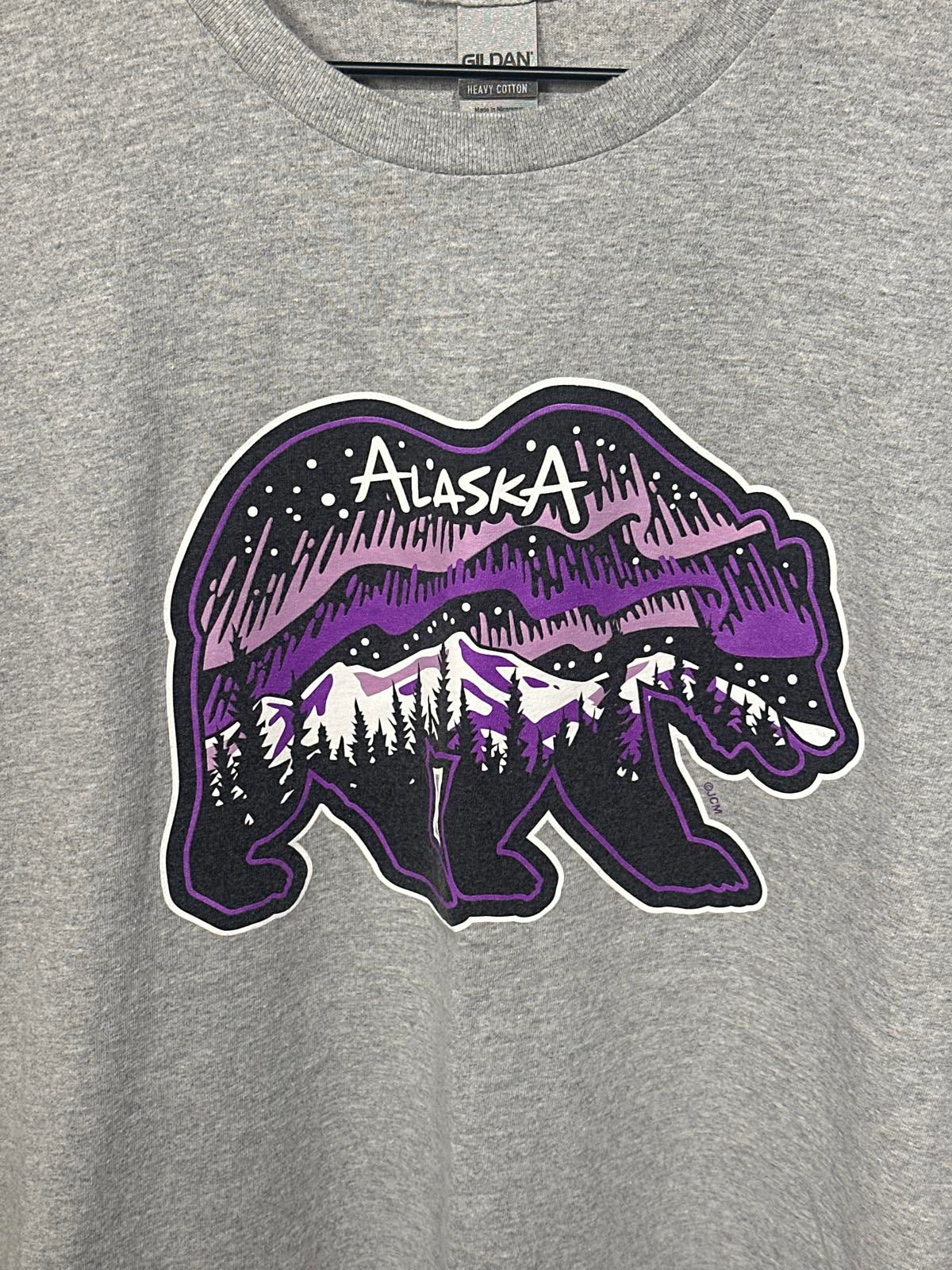 Men's Gray Alaska Bear Graphic T-Shirt Size Large
