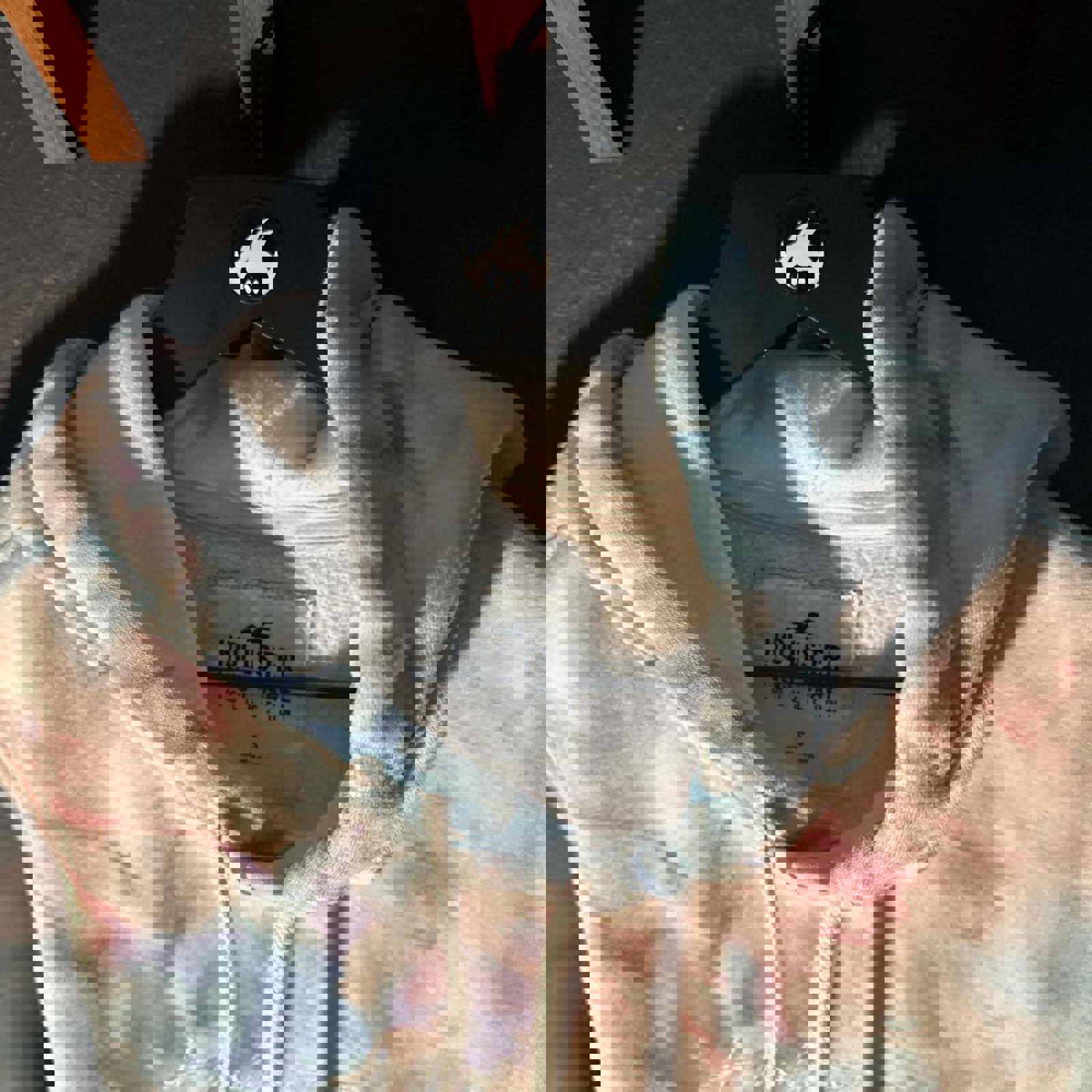 Hollister Co. Women's Multi Hoody