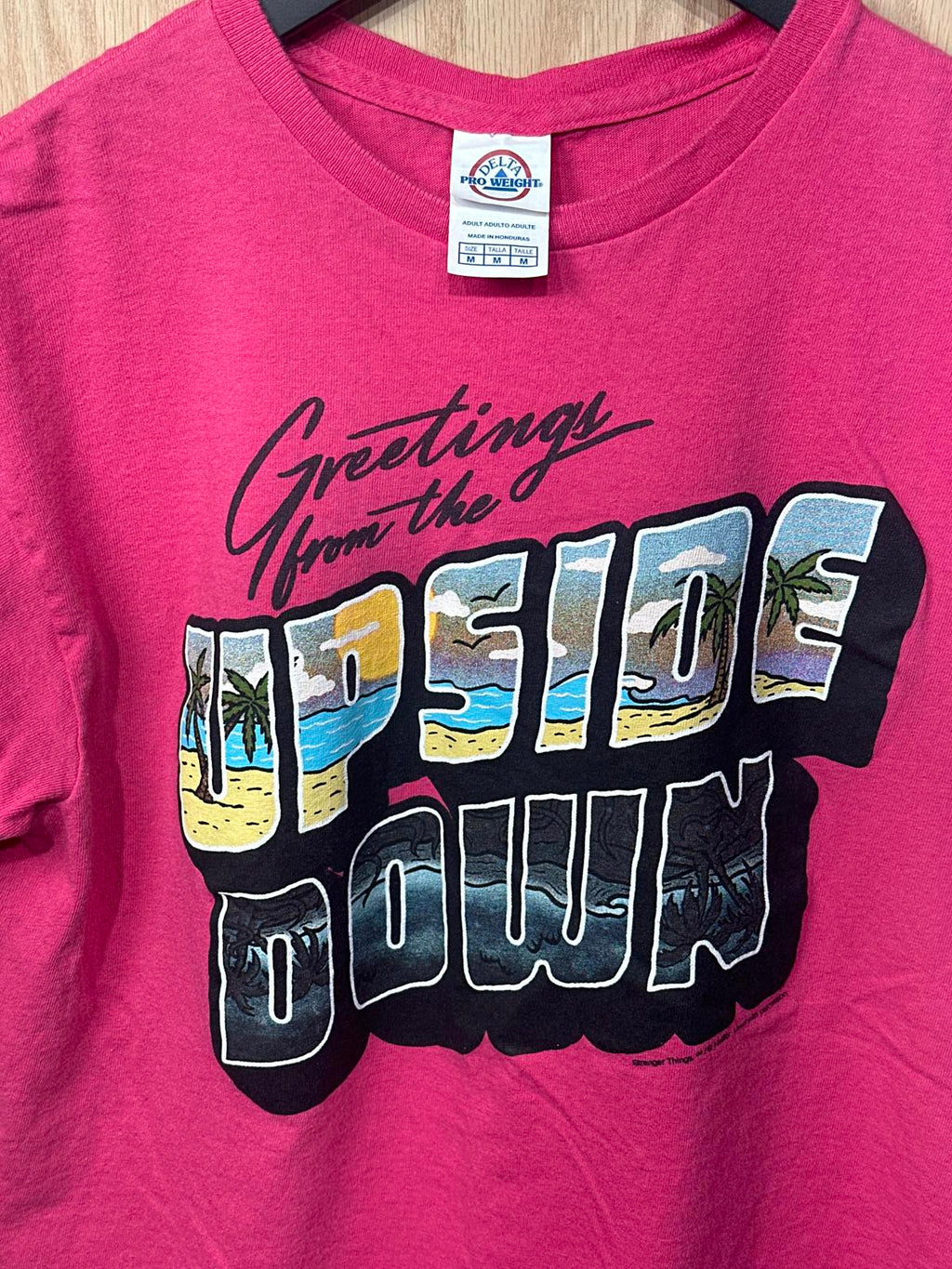 Pro Weight Men's Short Sleeve Graphic T-Shirt - Greetings from the Upside Down