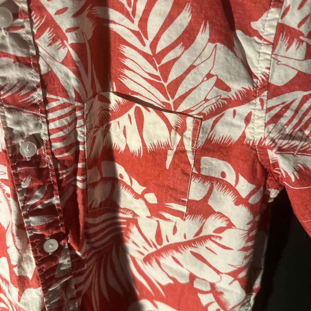 American Eagle Outfitters Button Down
