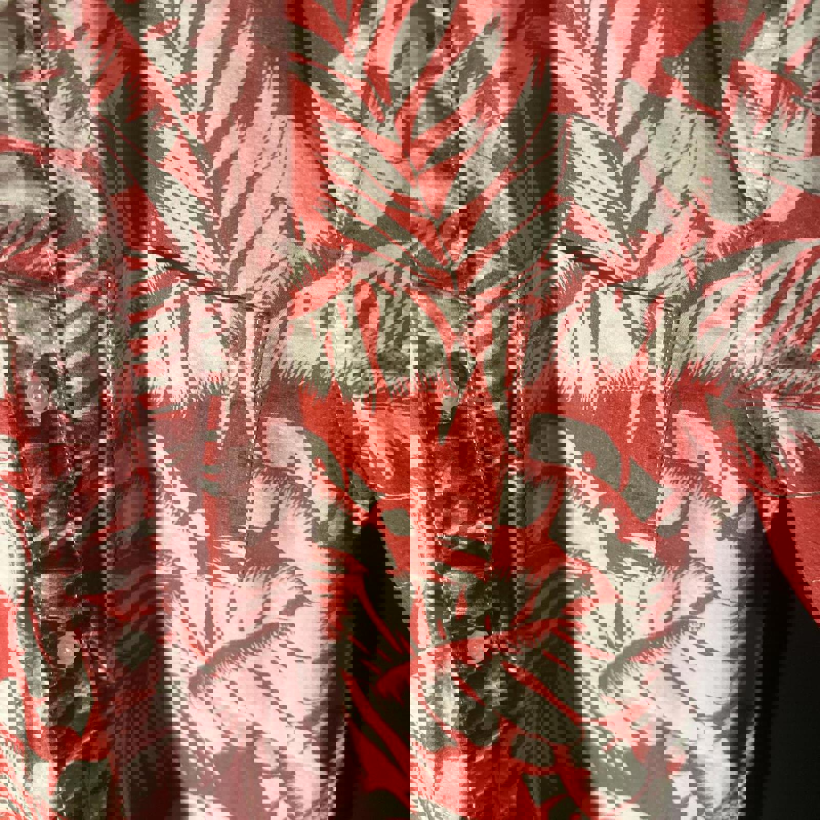 American Eagle Outfitters Button Down