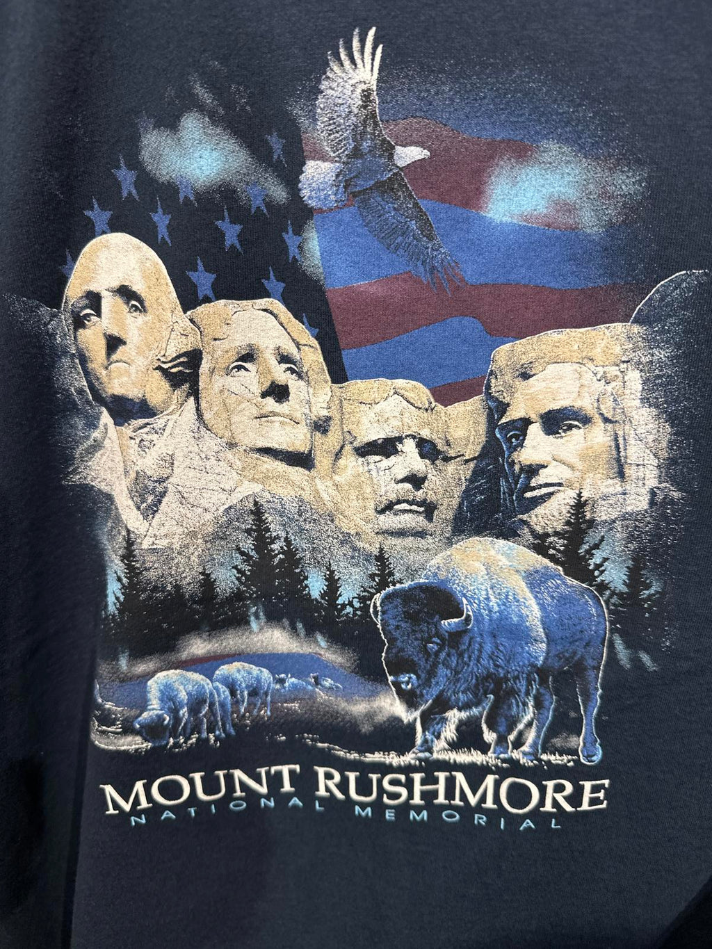 Mount Rushmore National Memorial Graphic T-Shirt