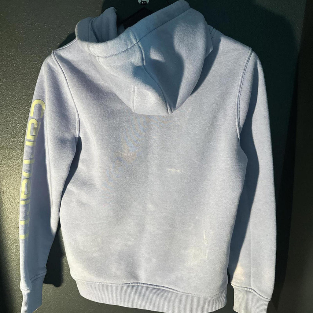 Carhartt Men's Blue and Purple Hoody