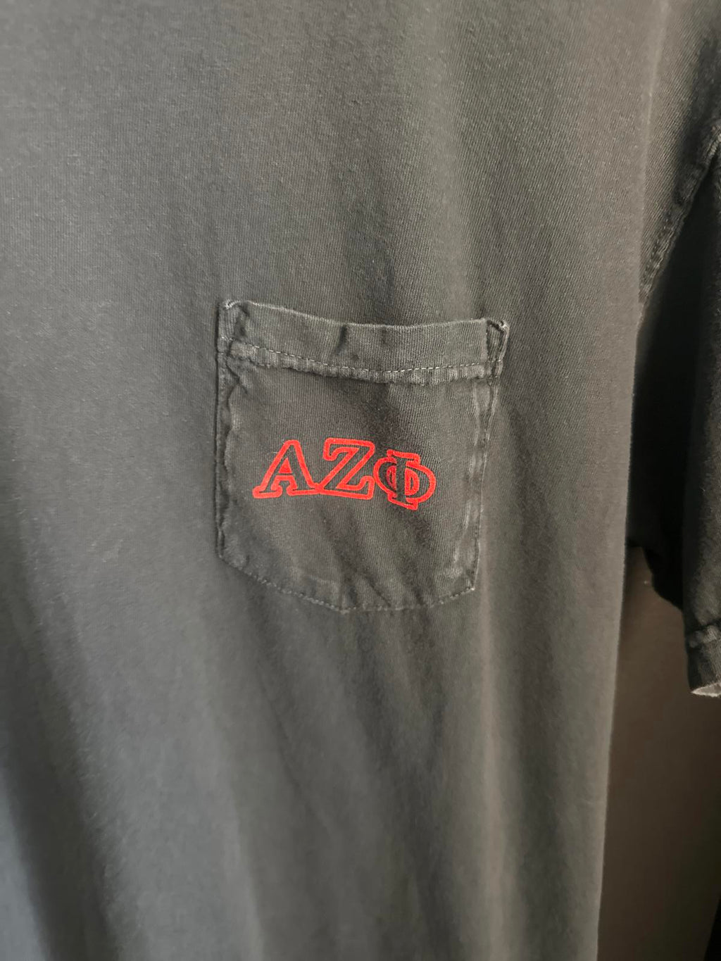 AZΦ Vintage Graphic T-Shirt - Gray with Leopard Print