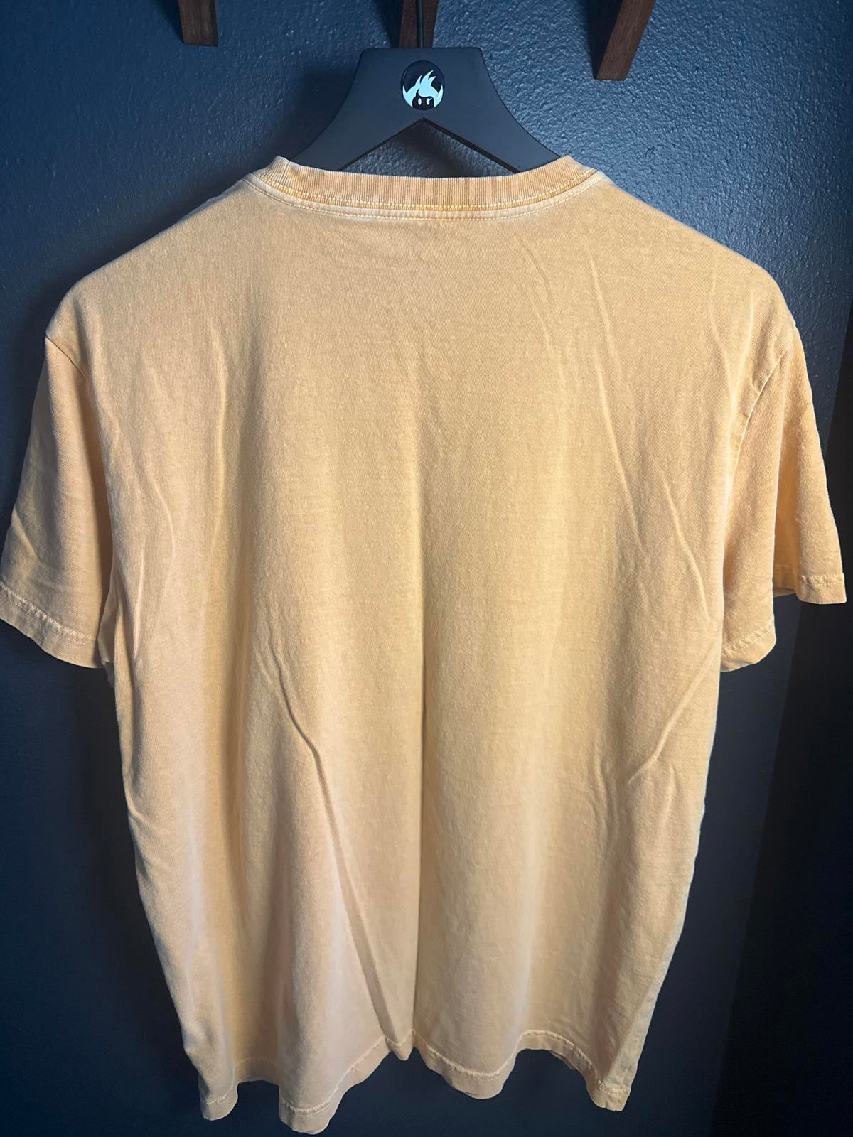 American Eagle Graphic Tee - Ocean Blue Design