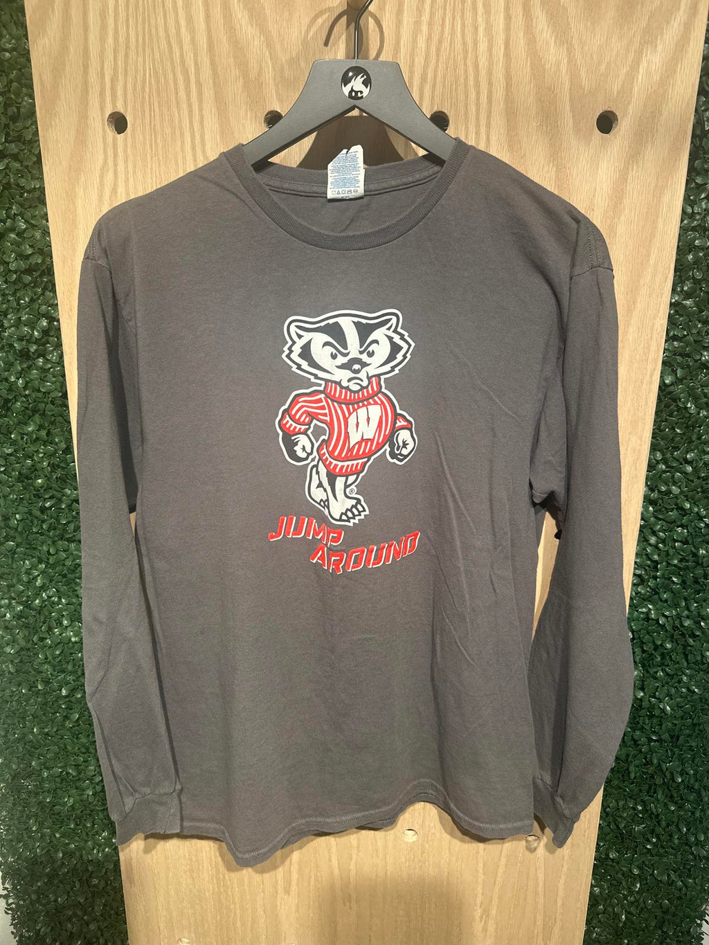 Delta Pro Weight Men's Wisconsin Badgers Long Sleeve Graphic Shirt