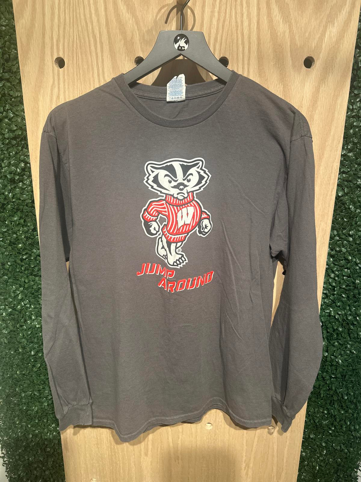 Delta Pro Weight Men's Wisconsin Badgers Long Sleeve Graphic Shirt