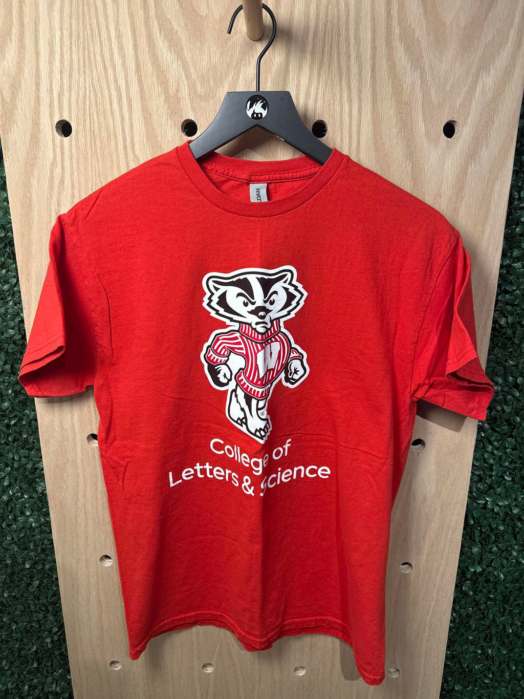 Gildan Wisconsin Red College of Letters & Science Graphic T-Shirt