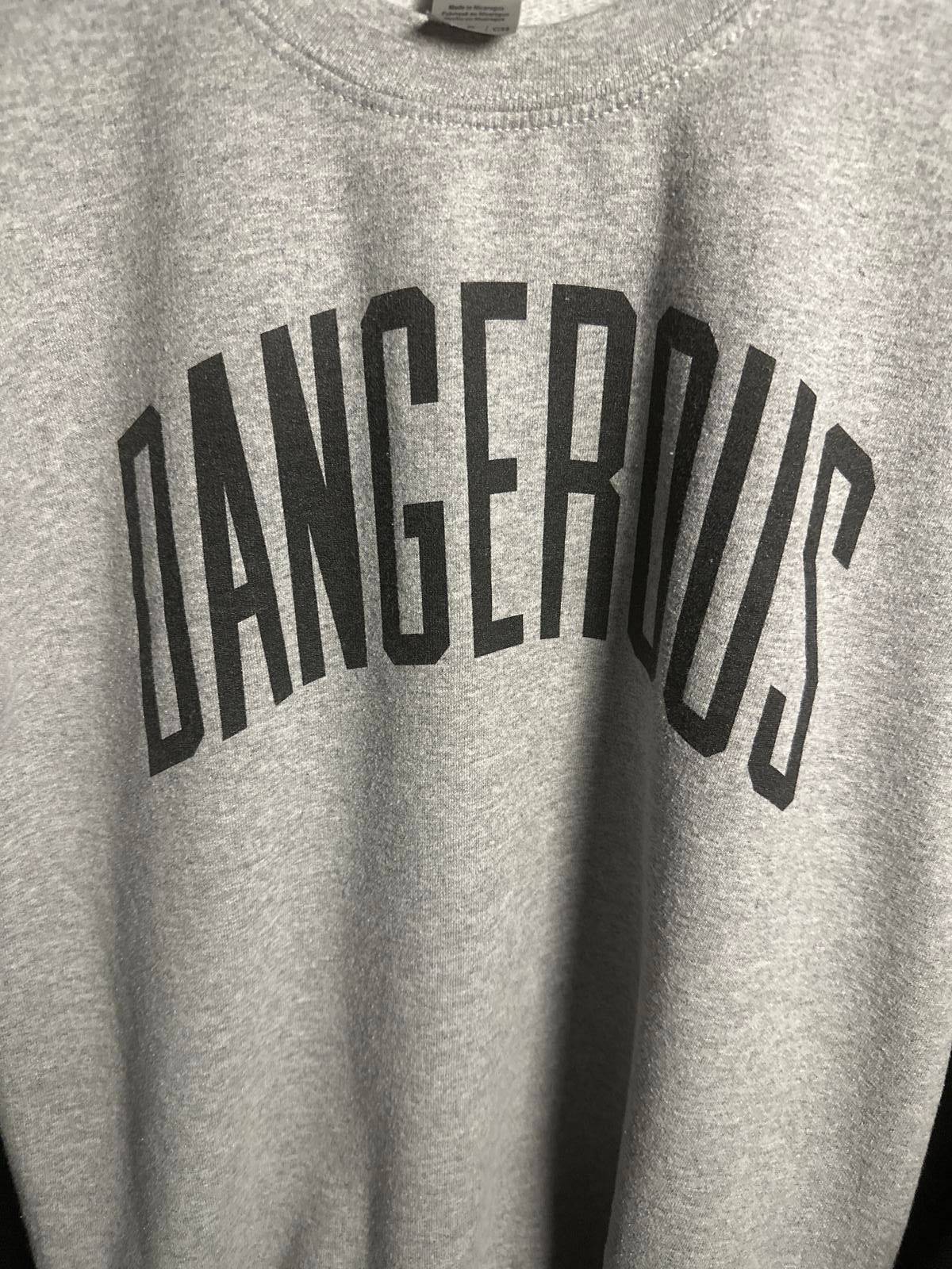 Gildan Grey Dangerous Sweatshirt/Crewneck