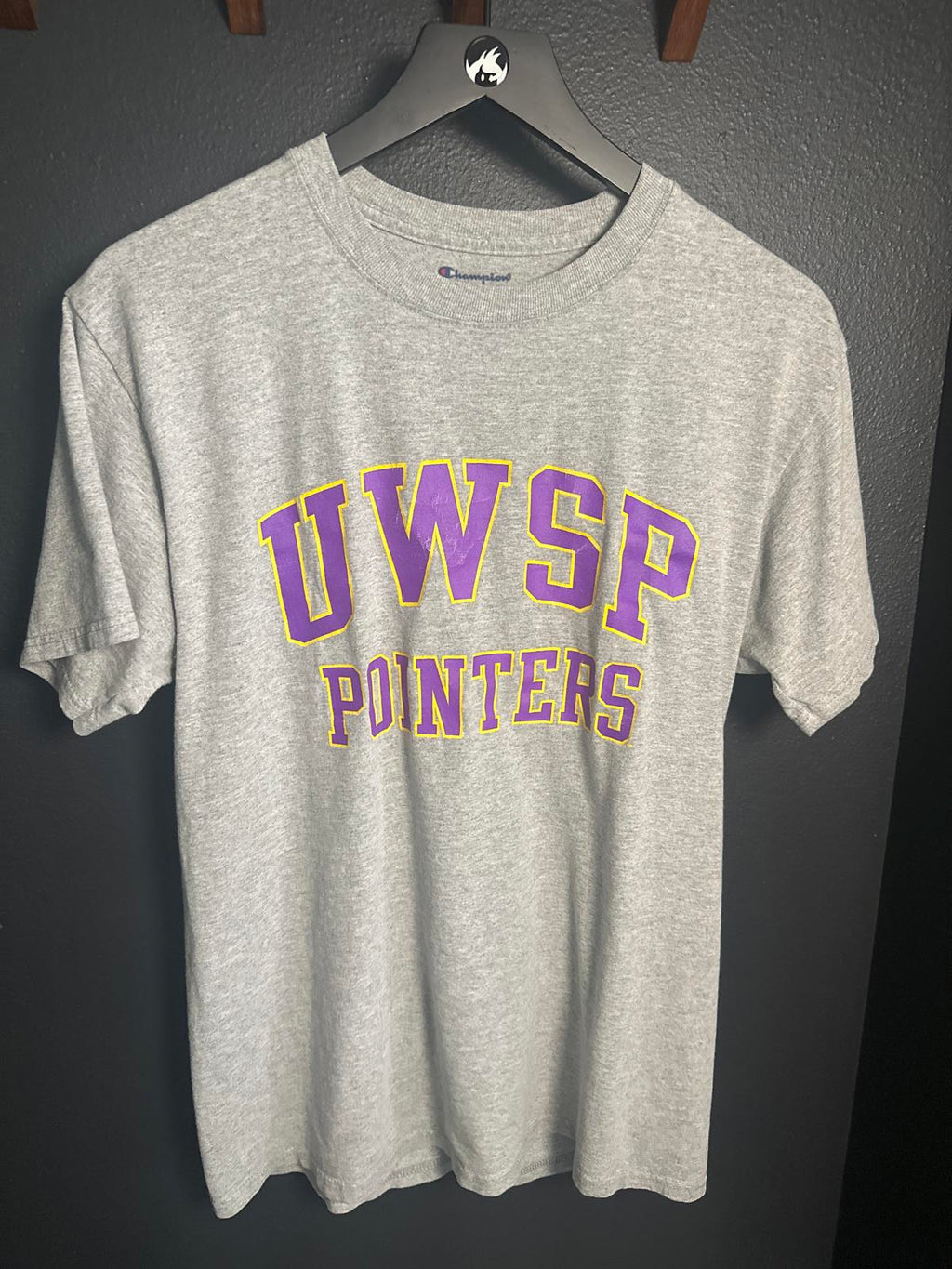 Champion UWSP UW Stevens Point Pointers Grey Men's T-Shirt