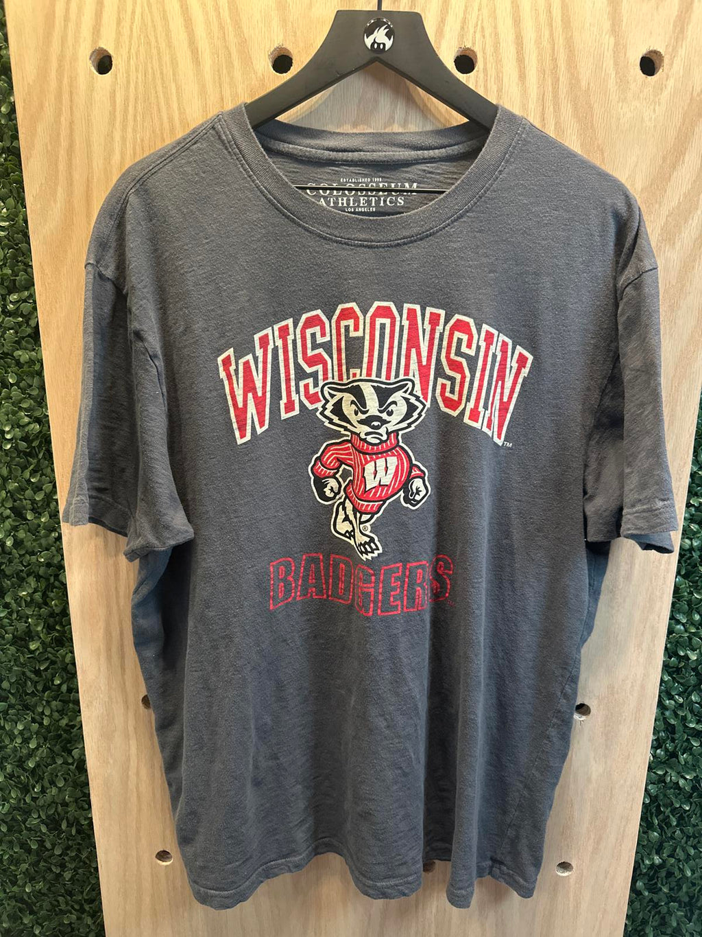 Wisconsin Badgers Graphic T-Shirt Men's XL