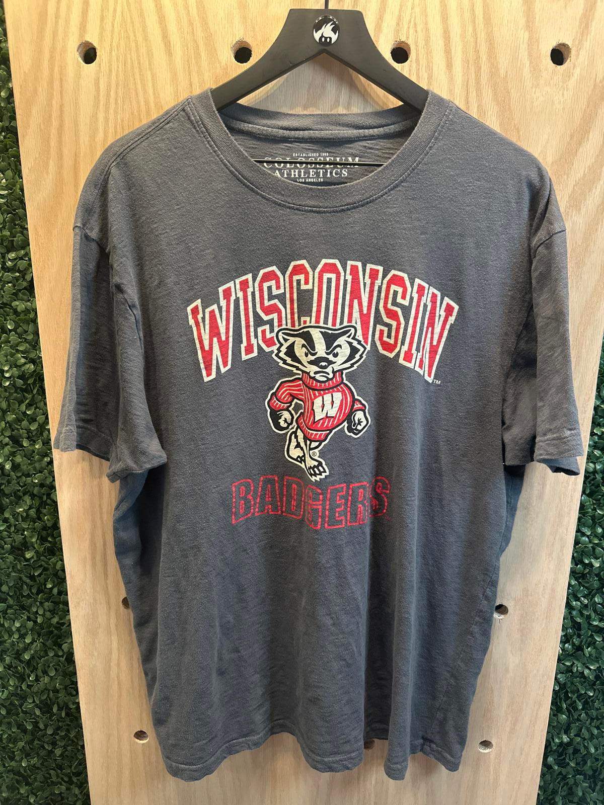 Wisconsin Badgers Graphic T-Shirt Men's XL