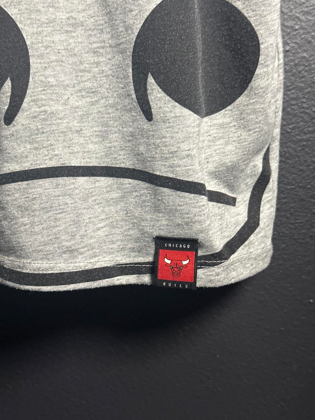 Nike Chicago Bulls Graphic T-Shirt