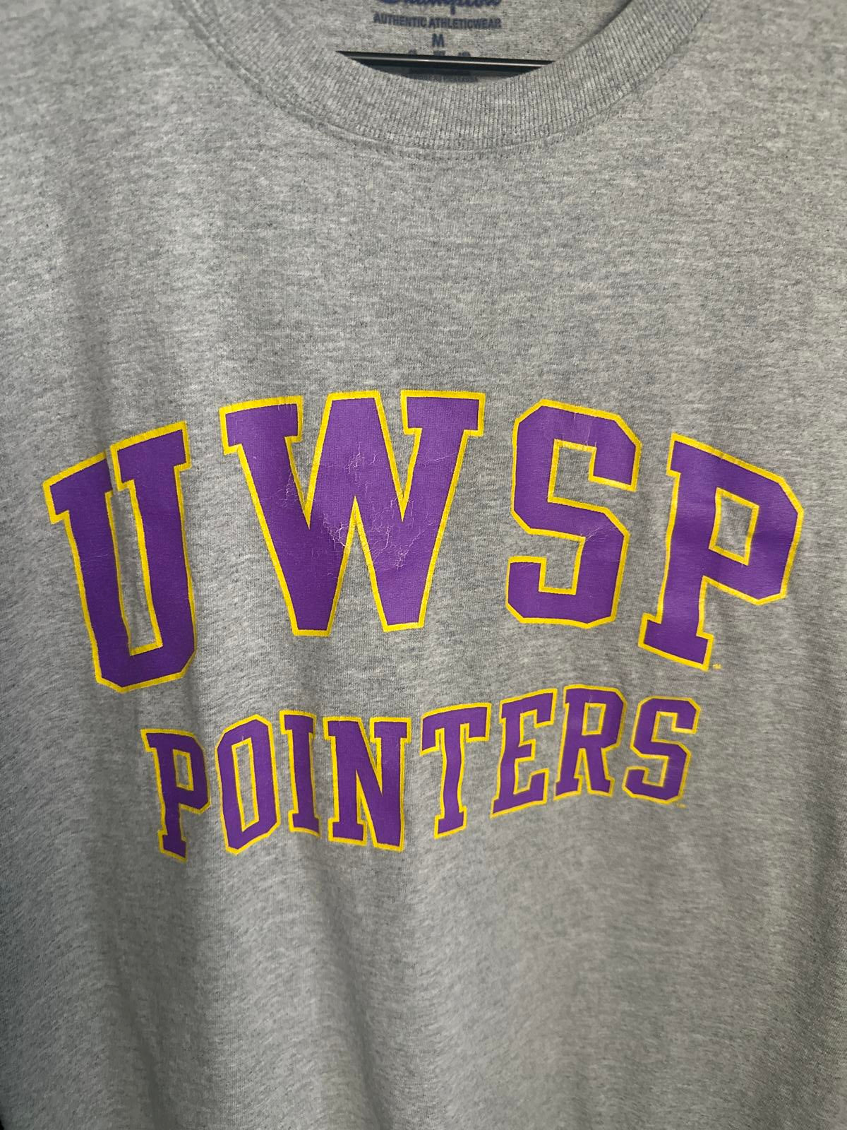 Champion UWSP UW Stevens Point Pointers Grey Men's T-Shirt