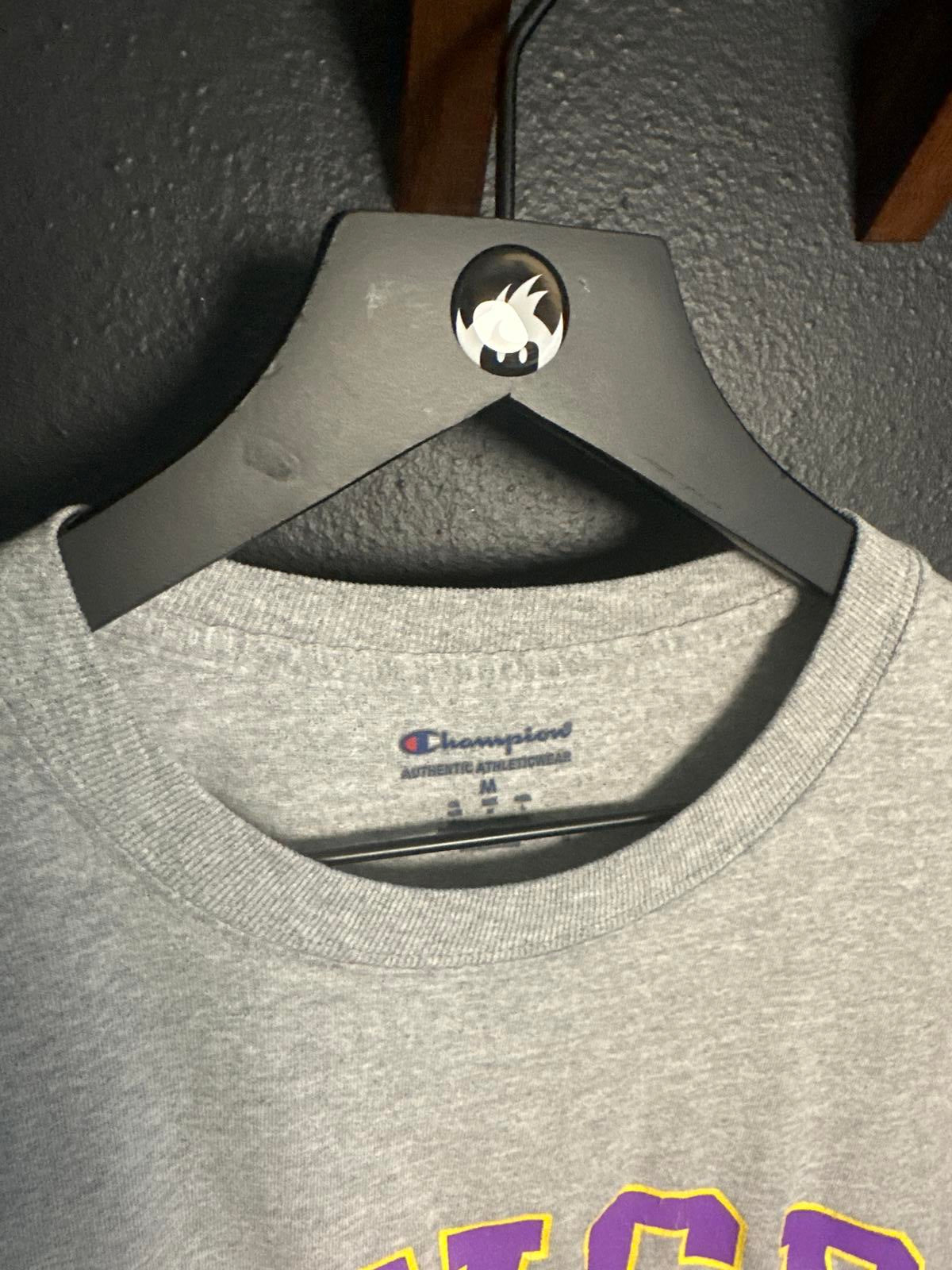 Champion UWSP UW Stevens Point Pointers Grey Men's T-Shirt