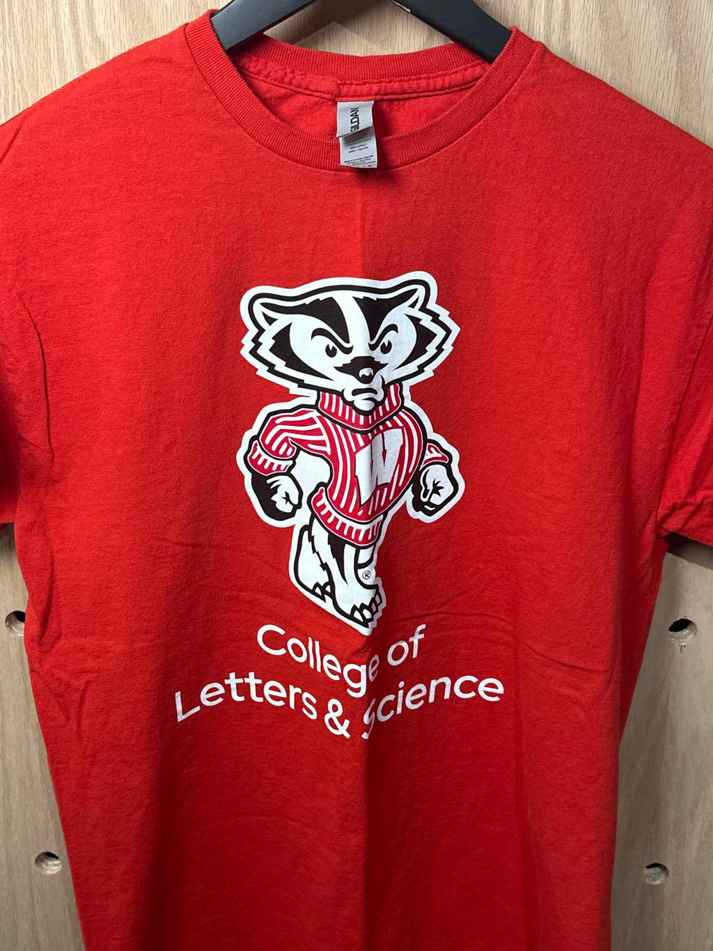 Gildan Wisconsin Red College of Letters & Science Graphic T-Shirt