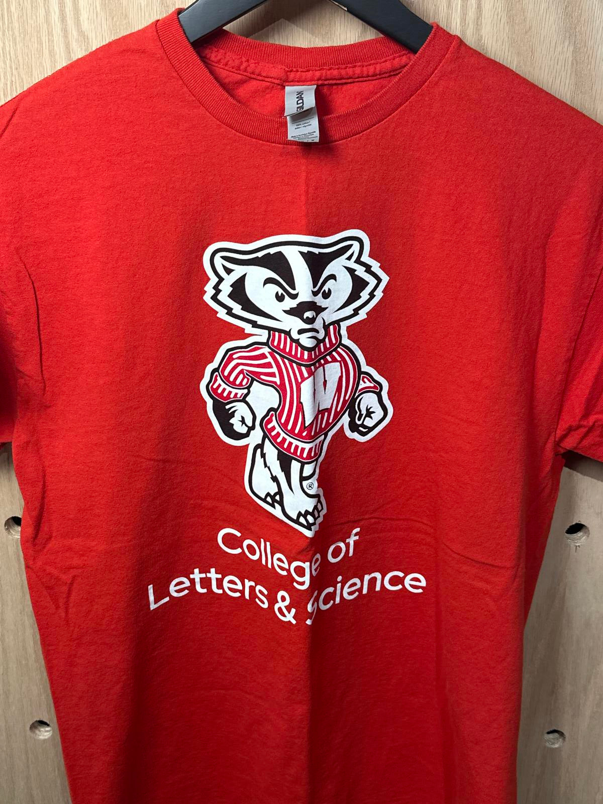 Gildan Wisconsin Red College of Letters & Science Graphic T-Shirt