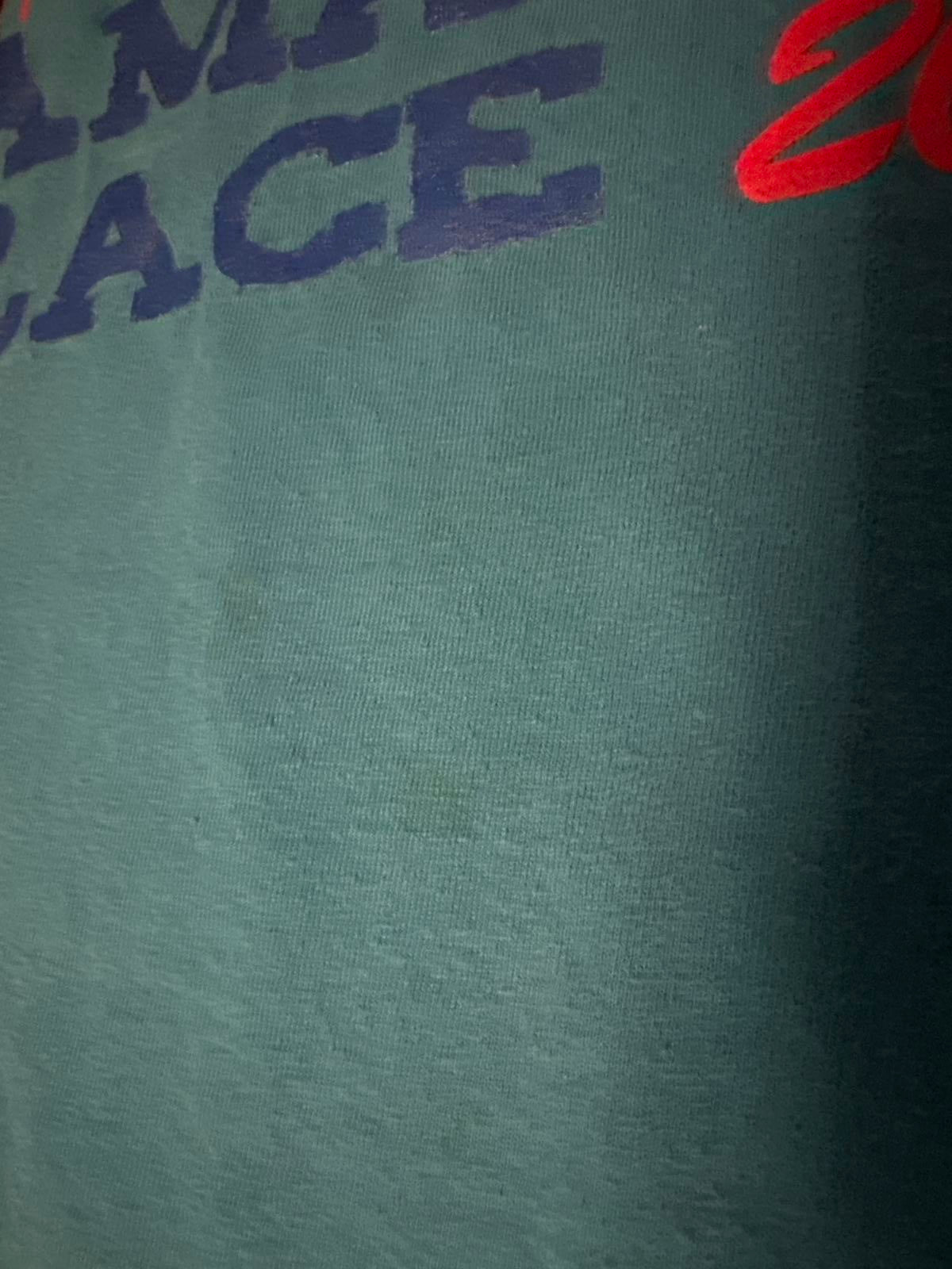Hanes The Geneva Lakes Amazing Race 2014 Blue T-Shirt Large