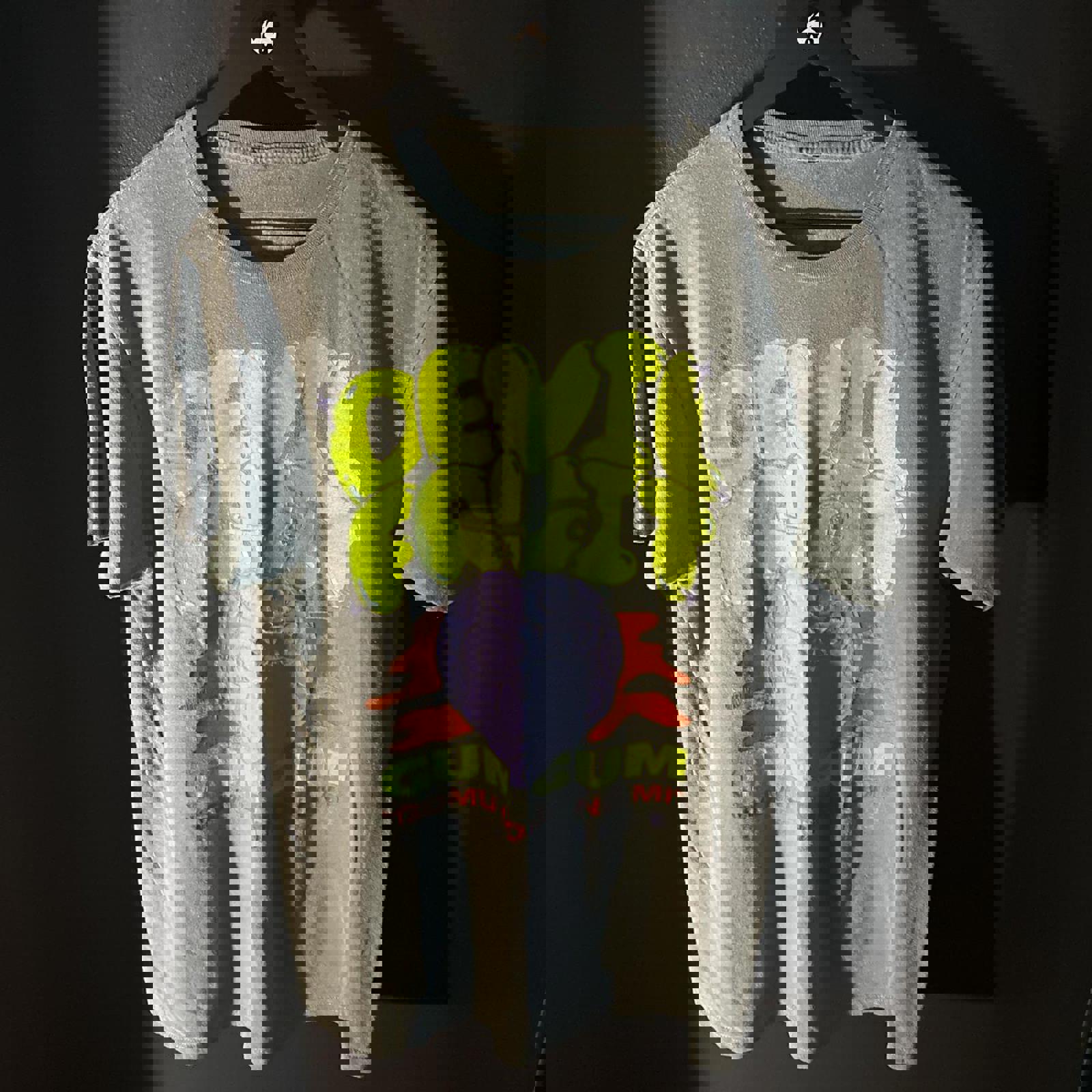 Devil Fruit Graphic T-Shirt